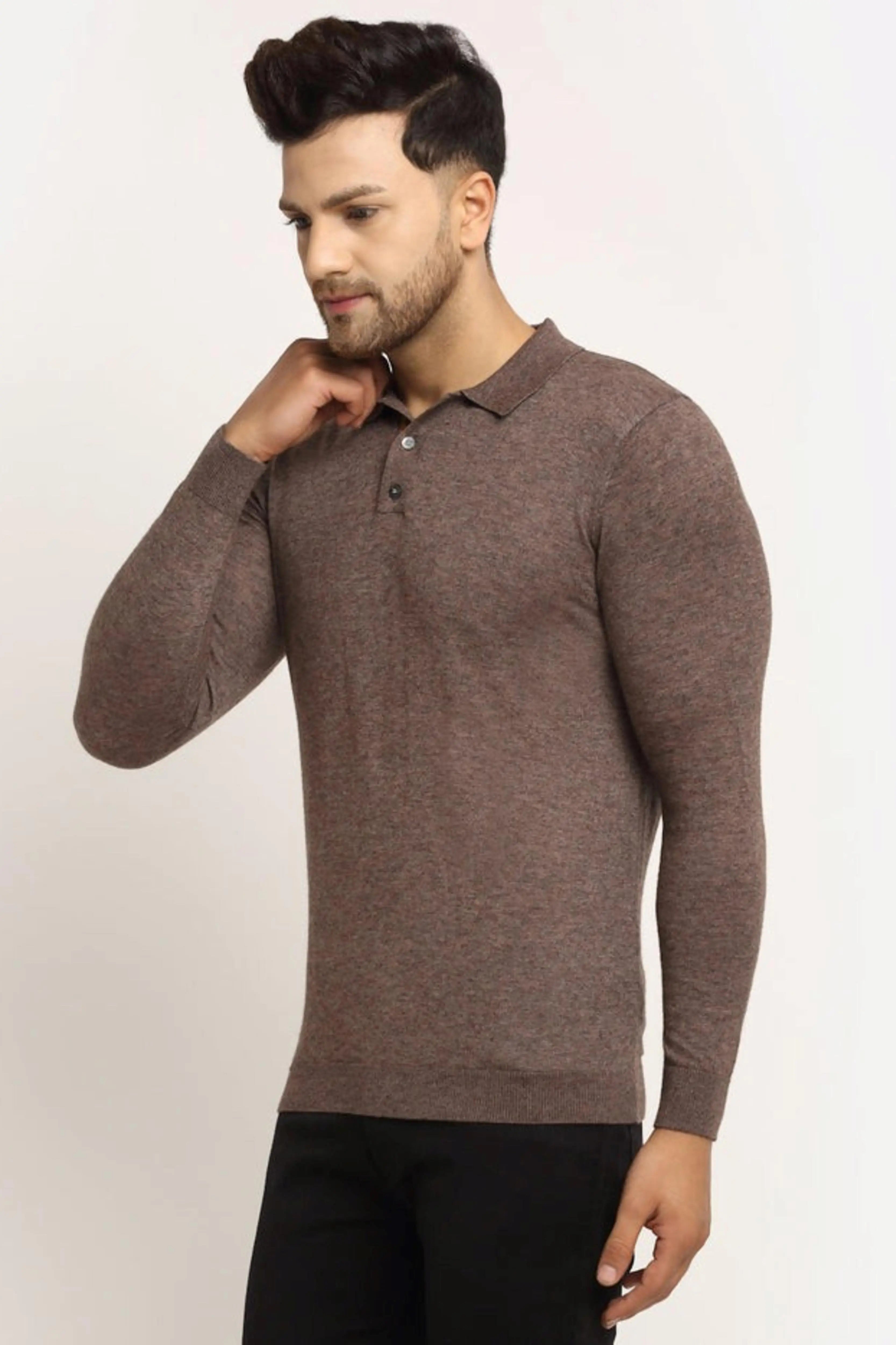 Men Brown Polo Neck Knit Solid Pullover