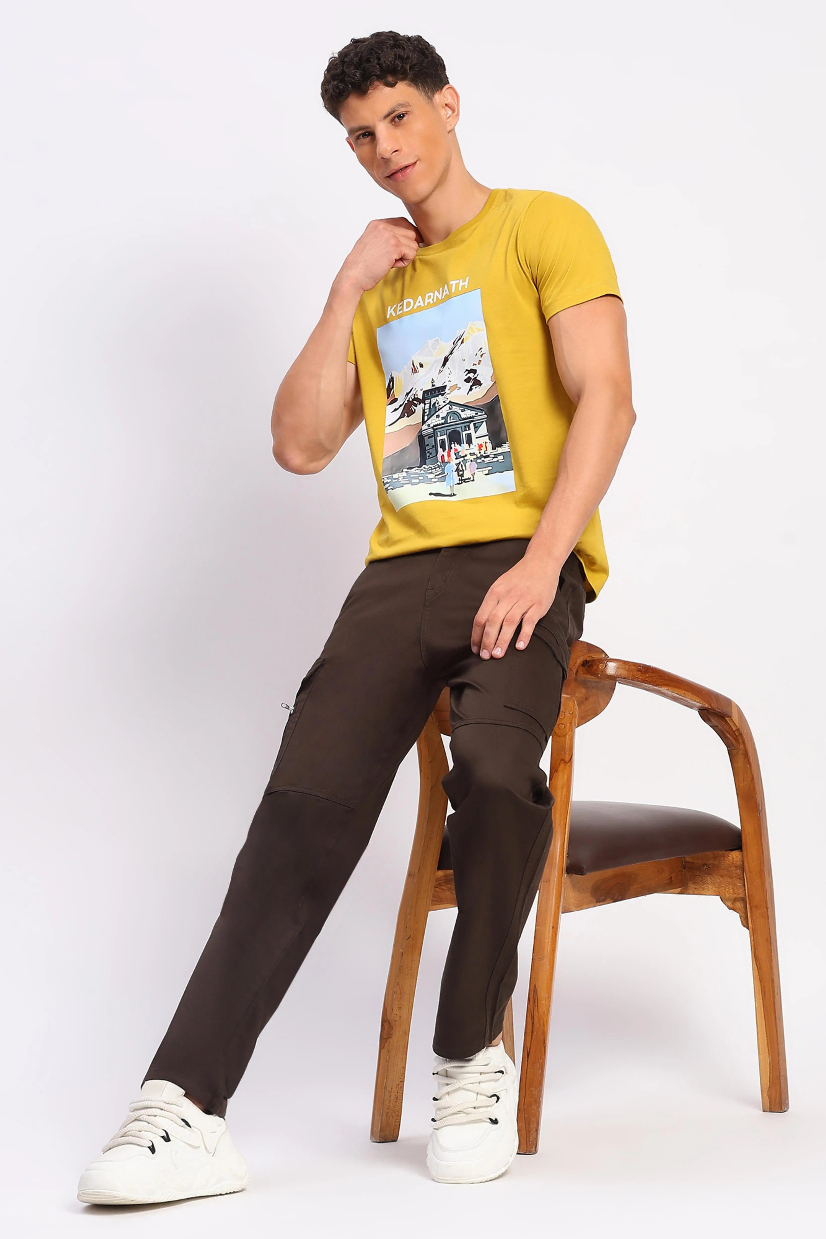 Brown Cotton Blend Regular Fit Cargo - Global Republic