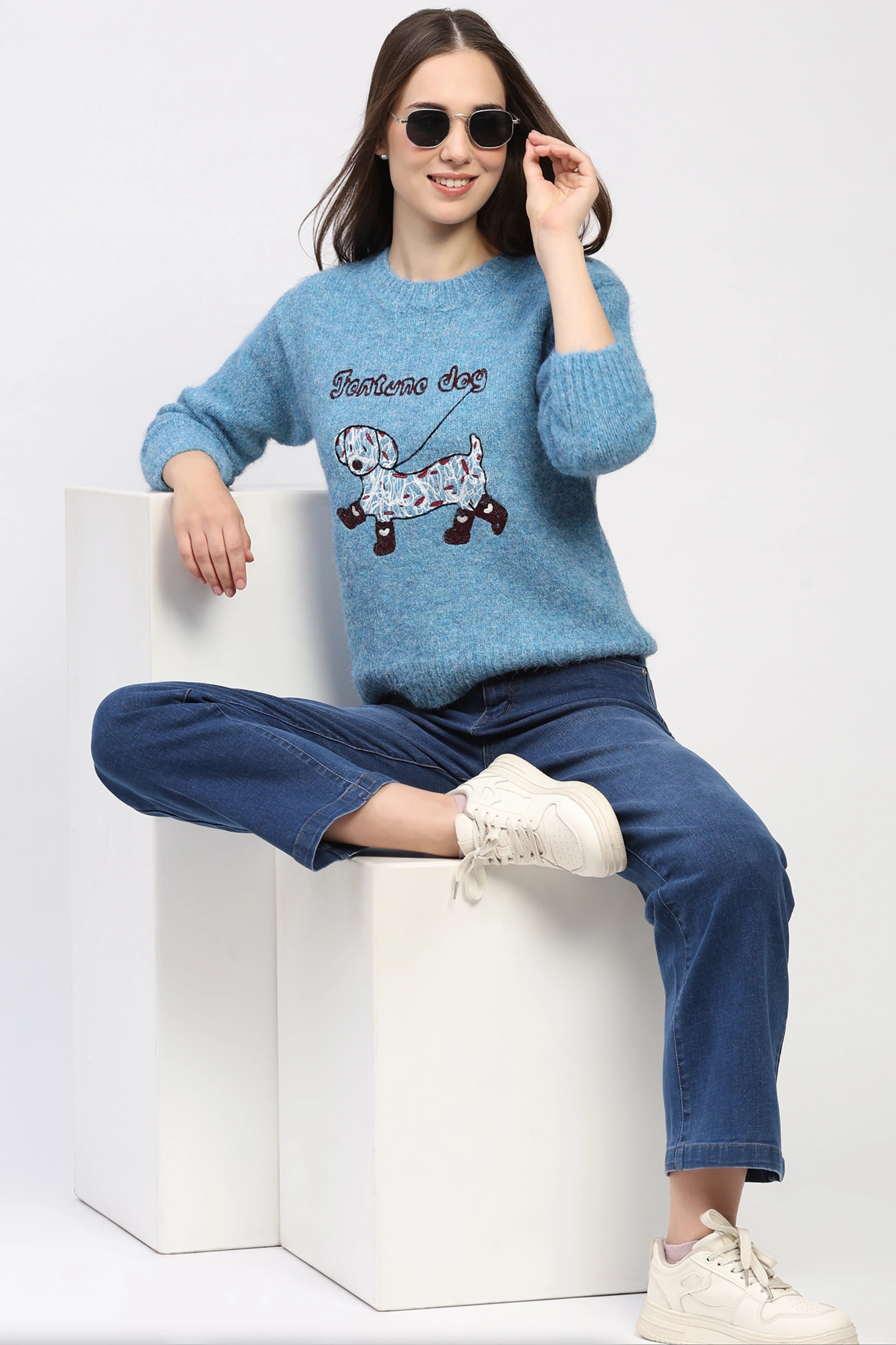 Blue Fortune Dog Embroidered Pullover