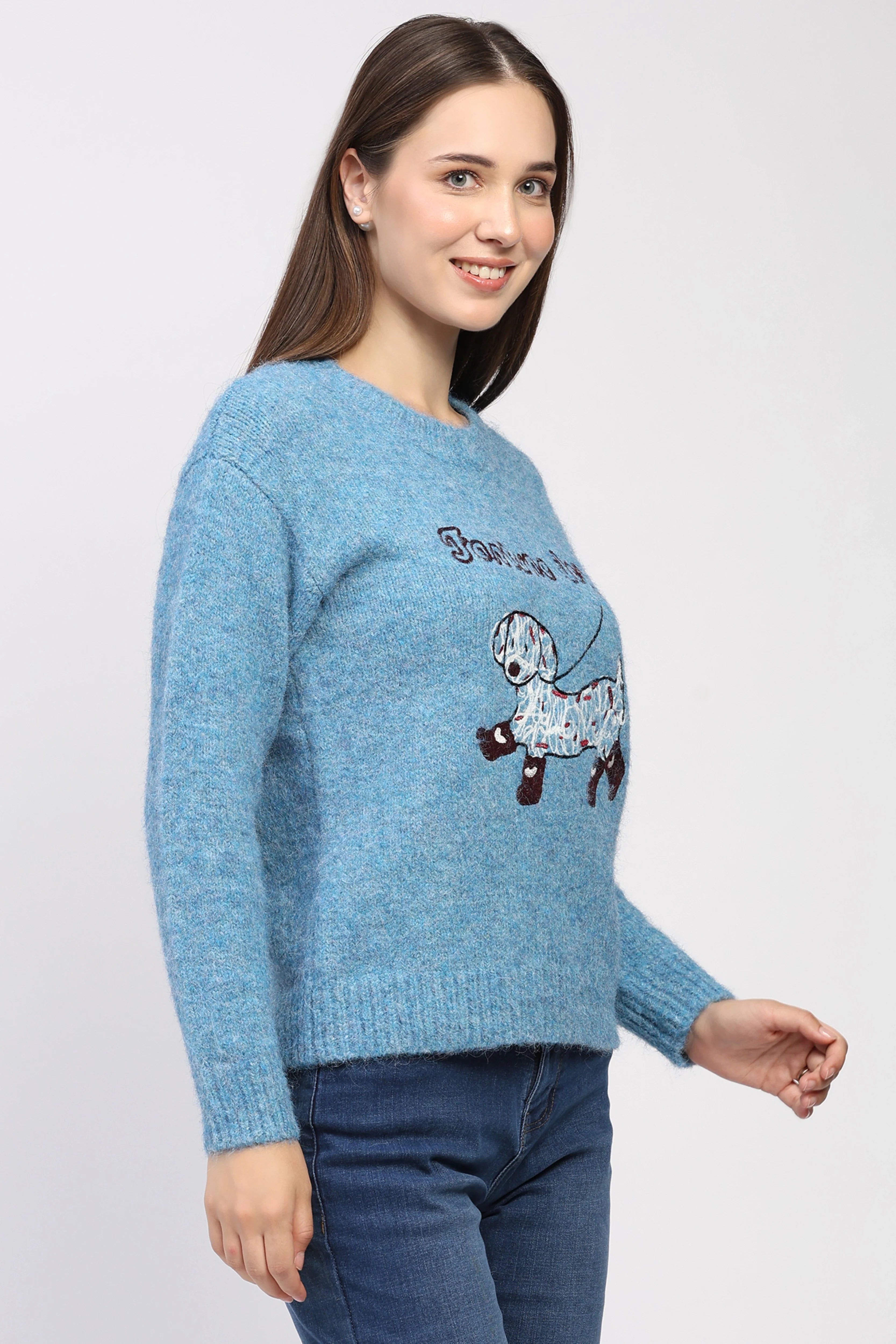 Blue Fortune Dog Embroidered Pullover