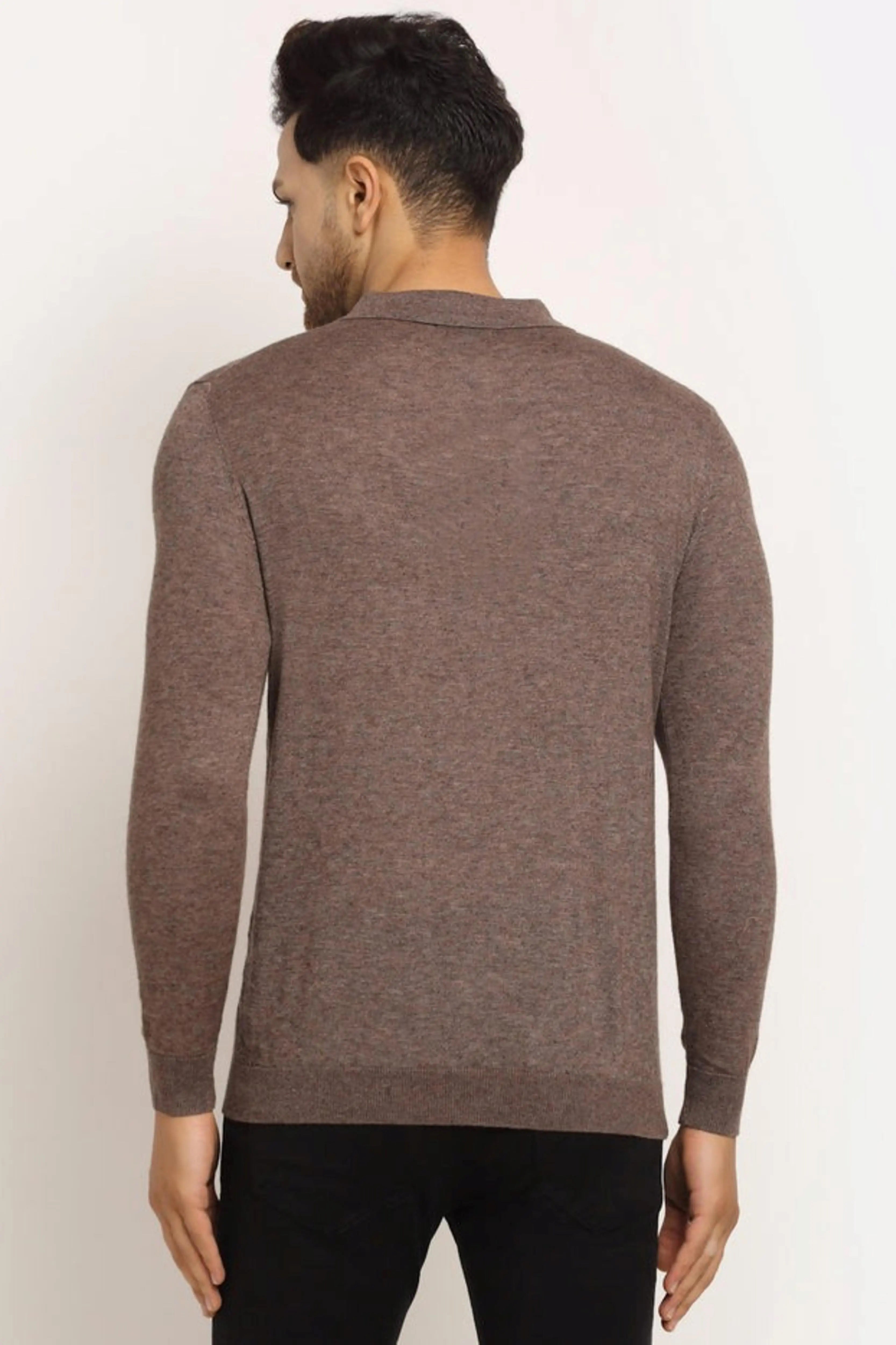 Men Brown Polo Neck Knit Solid Pullover