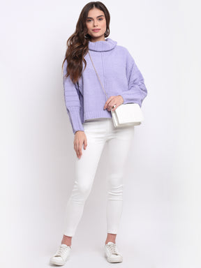 Women Purple High Neck Solid Knit Pullover