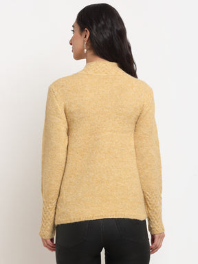 Women Beige High Neck Solid Pullover